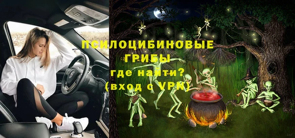 Альфа ПВП Горняк
