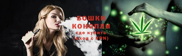 PSILOCYBIN Горнозаводск