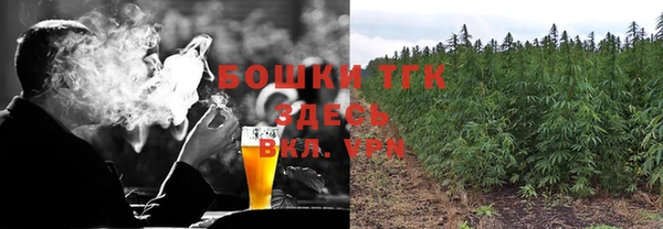 Альфа ПВП Горняк
